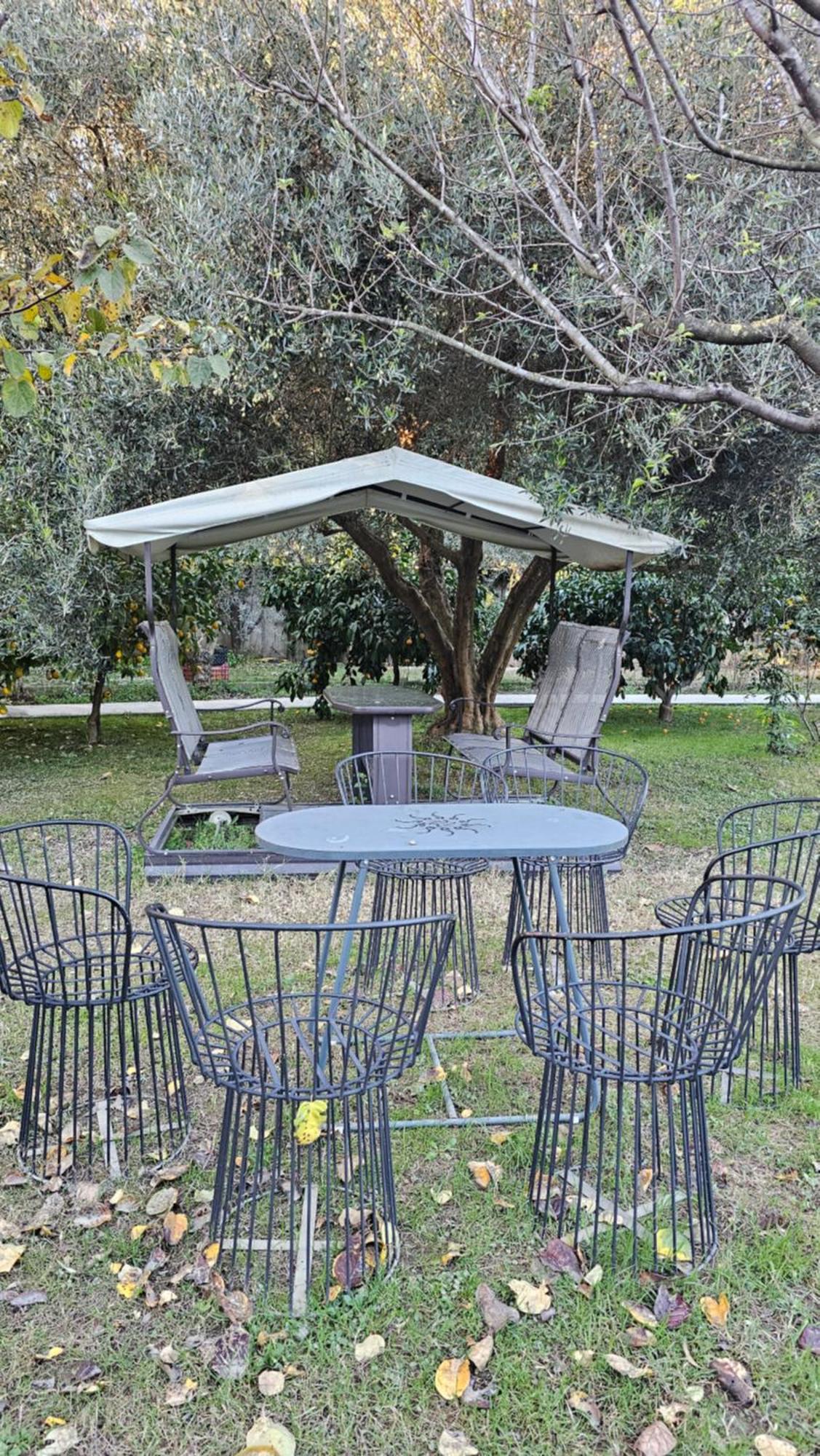 Ferma Gold Willa Tirana